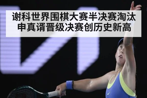 谢科世界围棋大赛半决赛淘汰申真谞晋级决赛创历史新高
