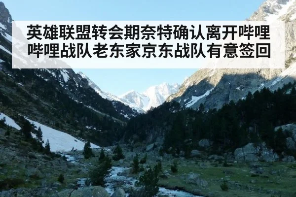 英雄联盟转会期奈特确认离开哔哩哔哩战队老东家京东战队有意签回